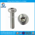 Acier inoxydable Torx Pan Head Tamper Proof Security Screw